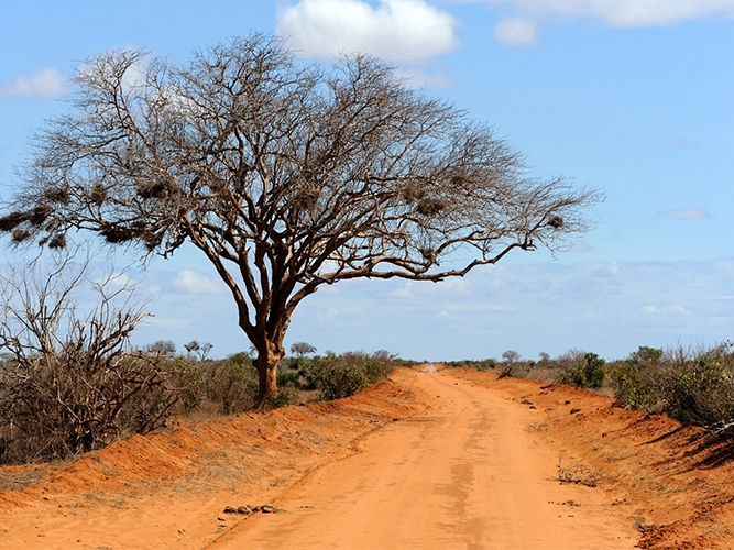 voyage afrique de l'ouest