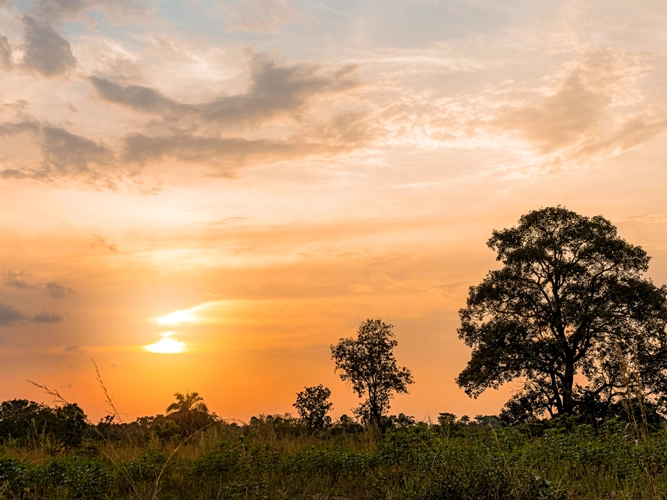 voyage afrique de l'ouest